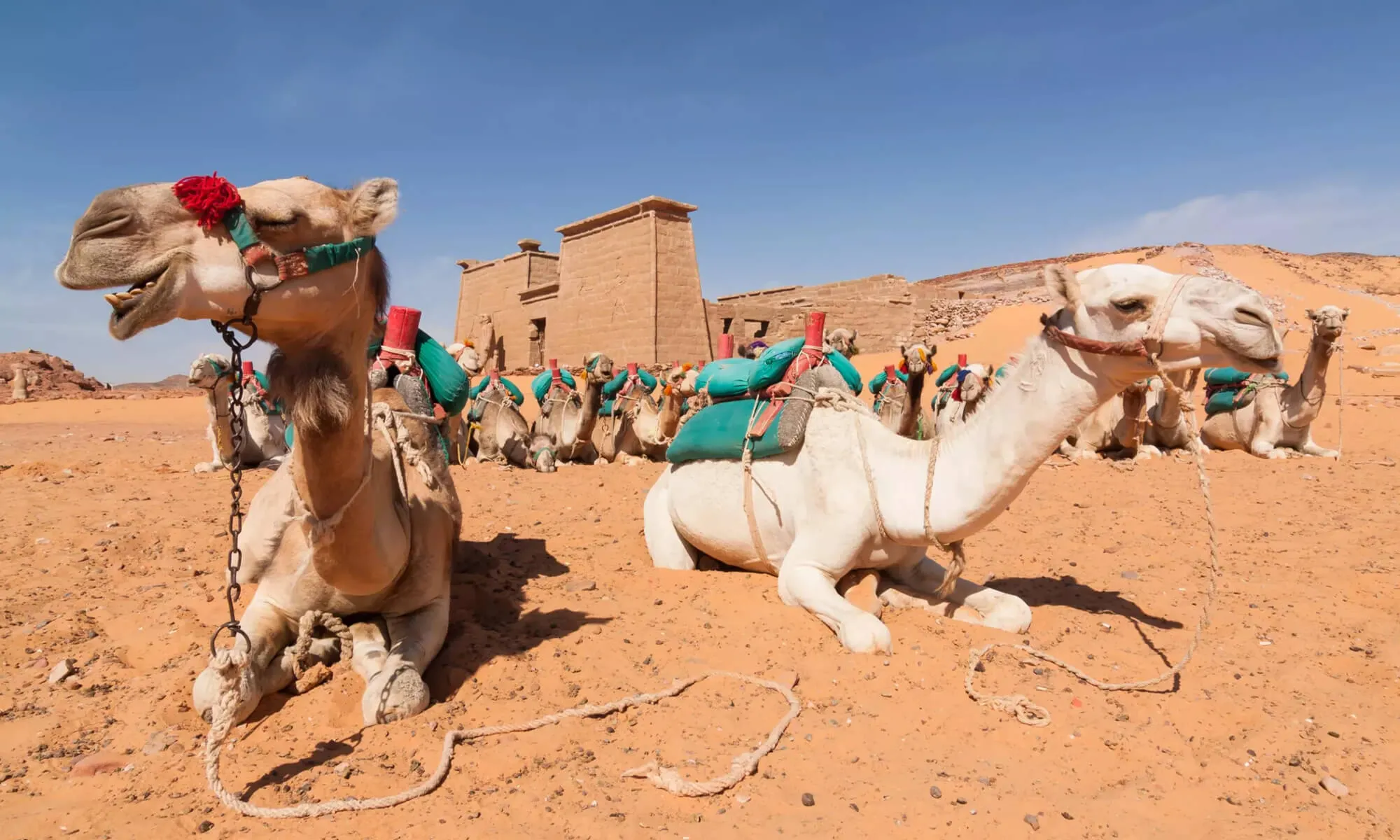 5 Days Lake Nasser Cruise Itinerary from Aswan to Abu Simbel