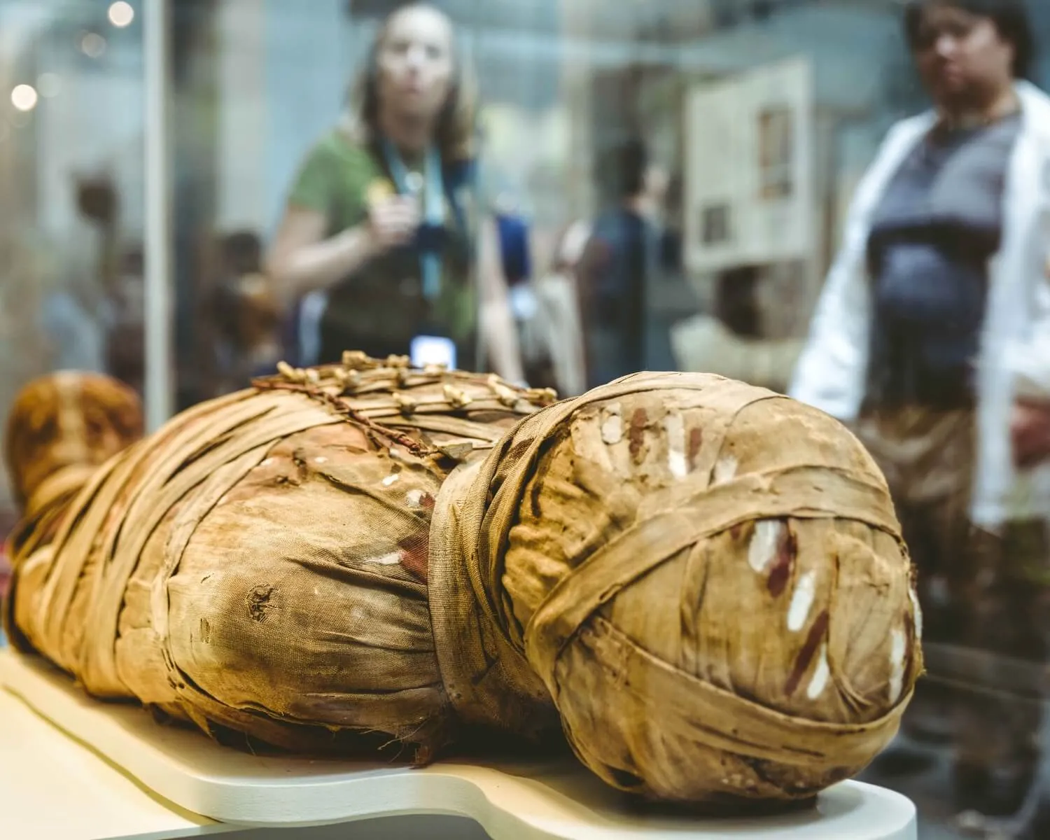 Best Mummification Museum Travel Guide
