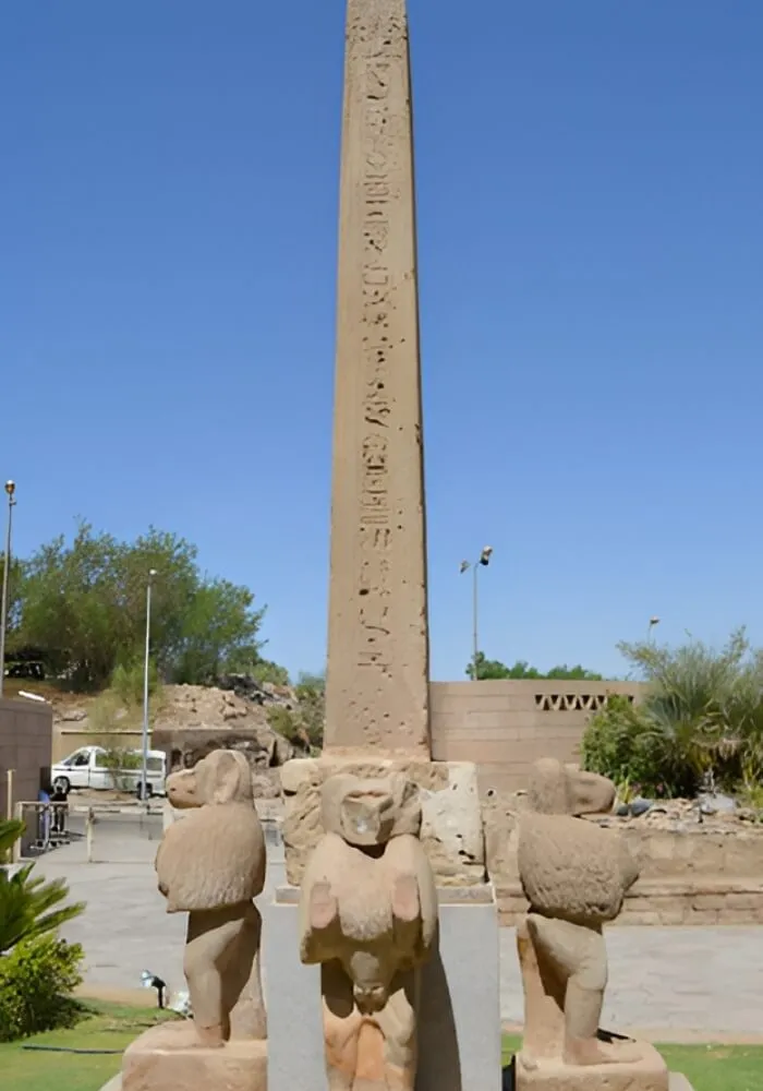 Main Image
