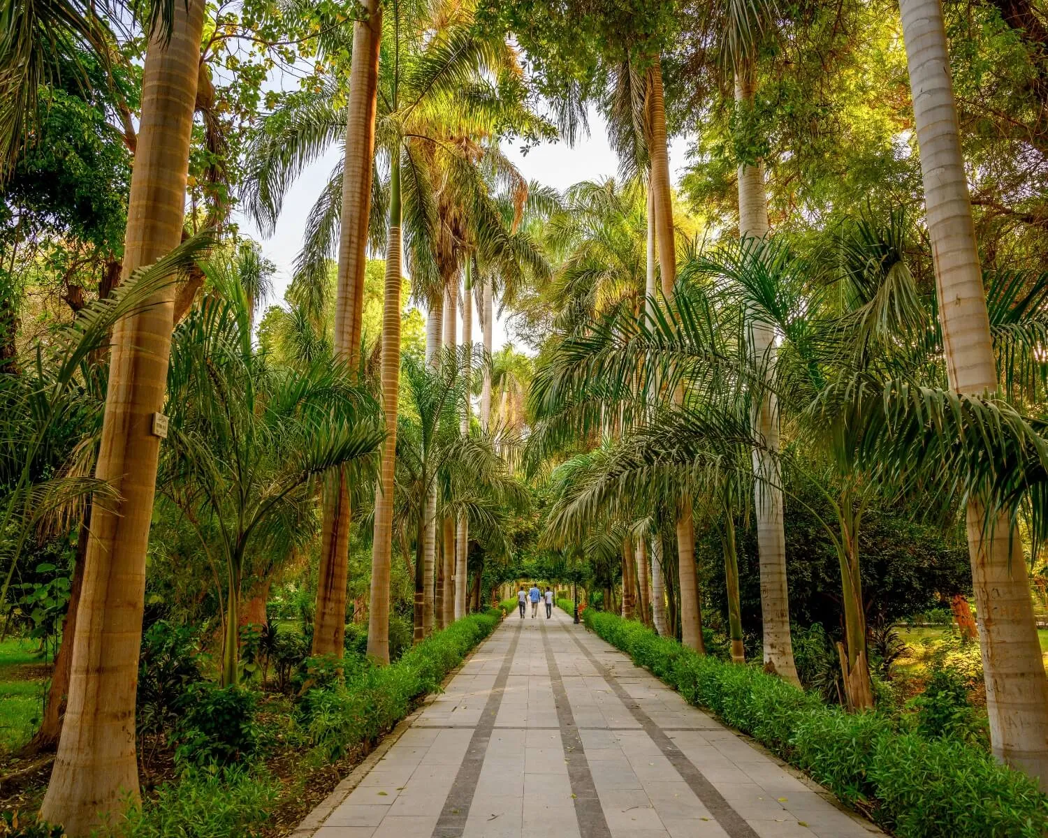 Aswan Botanical Garden