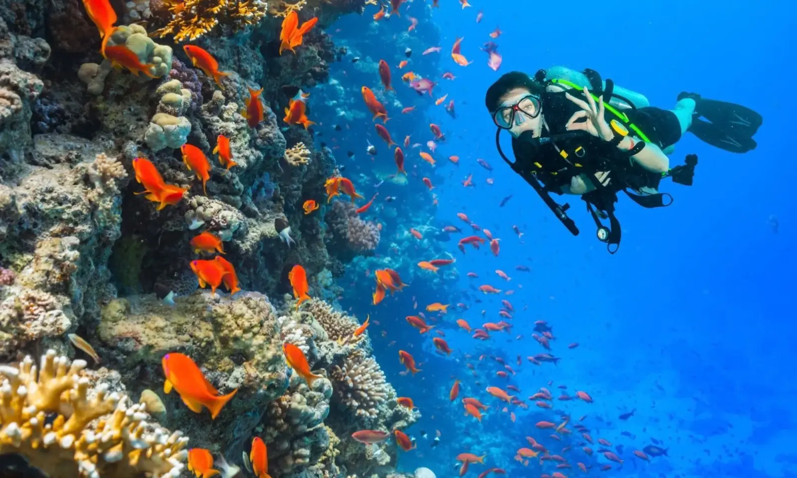 Dive in the Red Sea - Nile Cruise Holiday.webp
