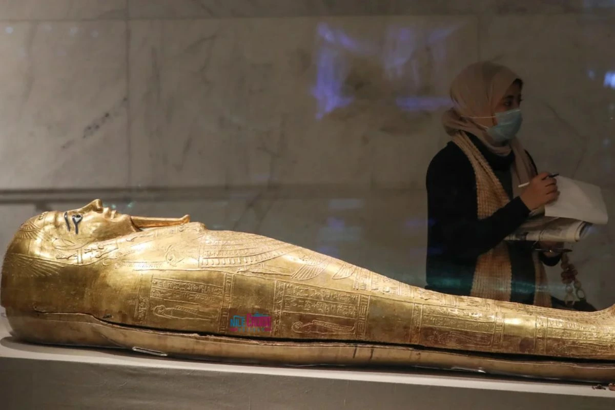 Egyptian Royal Mummies - Nile Cruise Holiday.webp